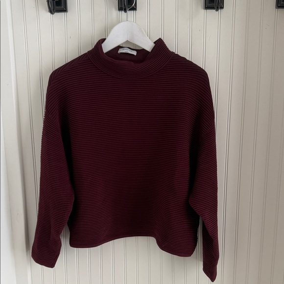 Babaton Aritzia Ambrosio Turtleneck in Burgundy and Black - Picture 2 of 9